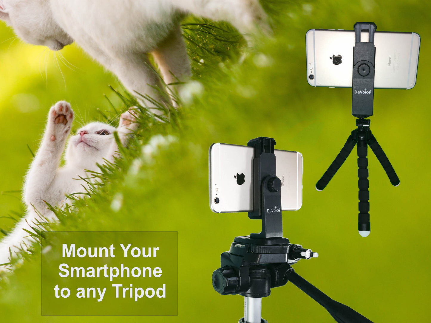 iphone holder for tripod