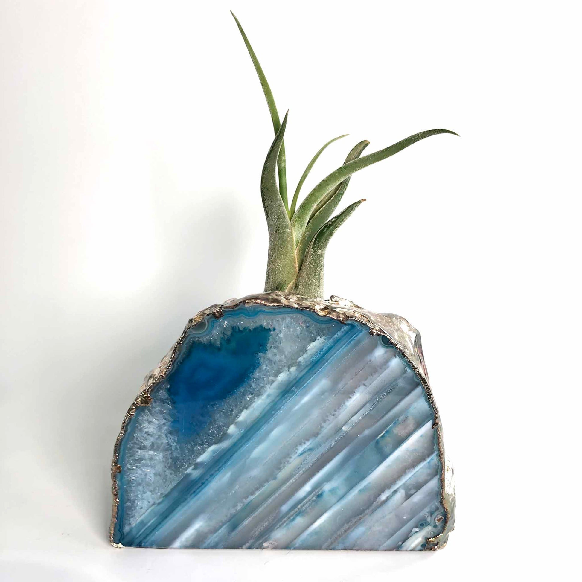 rock air plant stand