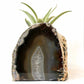 tan brown agate quartz
