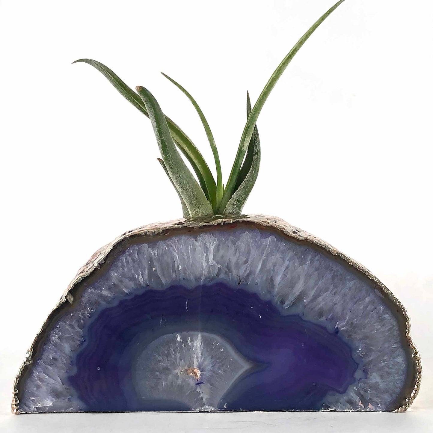 geode air plant holder Gold or Silver Plated Agate Geode Candle or Air Plant Holder 261