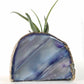 striped agate geode