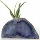 purple quartz geode air plant stand