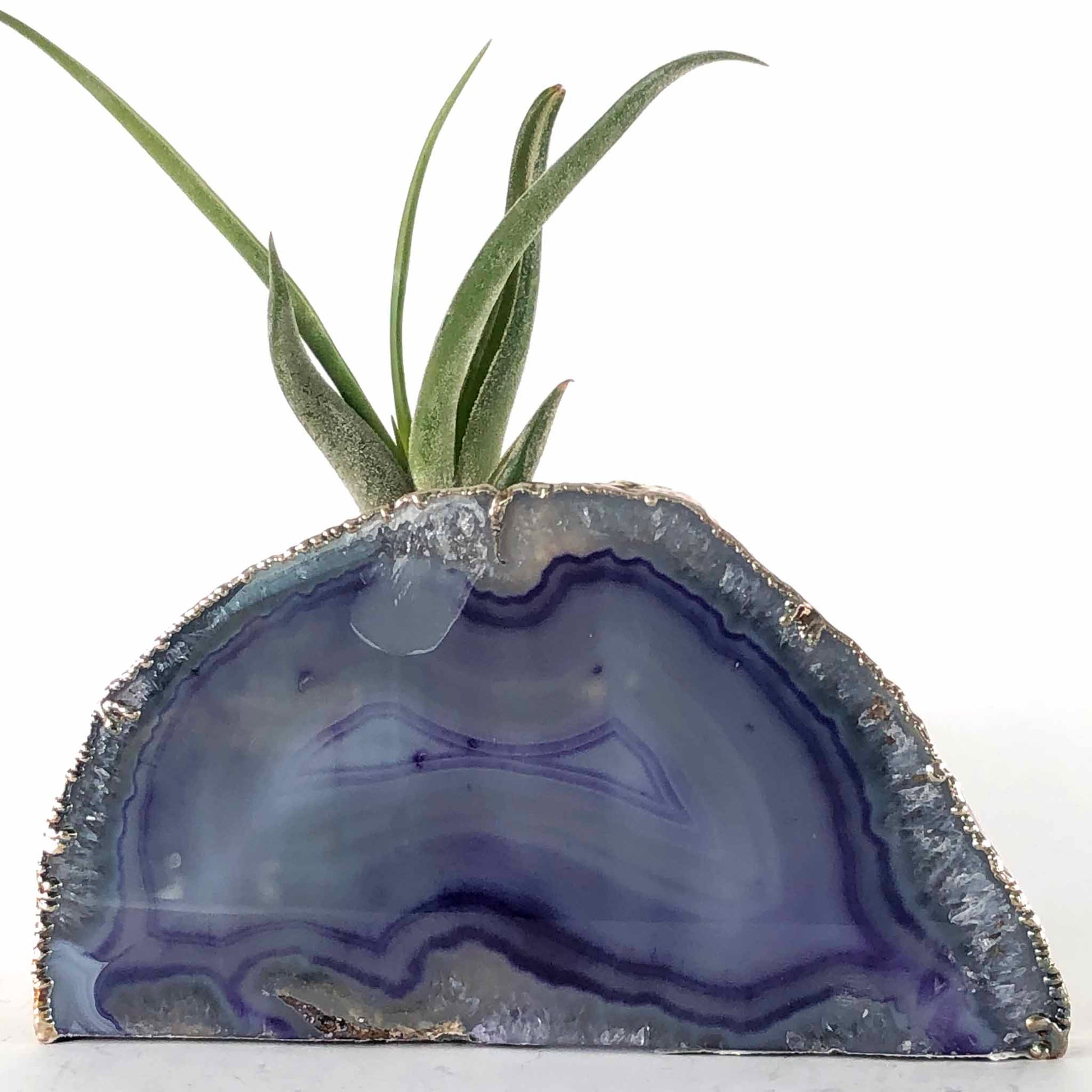 purple quartz geode air plant stand