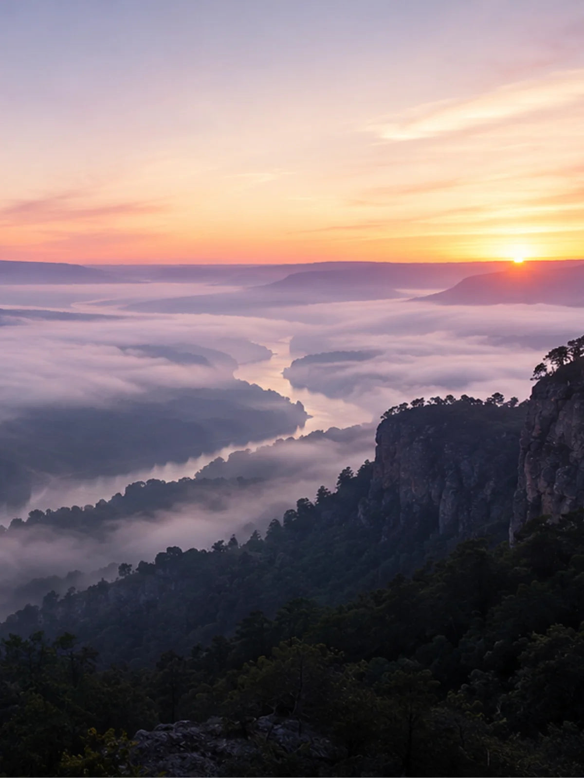 Morning mist rising over Crow Mountain and the Arkansas River Valley, reflecting the calm atmosphere that inspires House of DaVoice fragrances