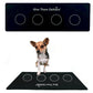 dog talking button mat