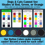 talking-pet-starter-set